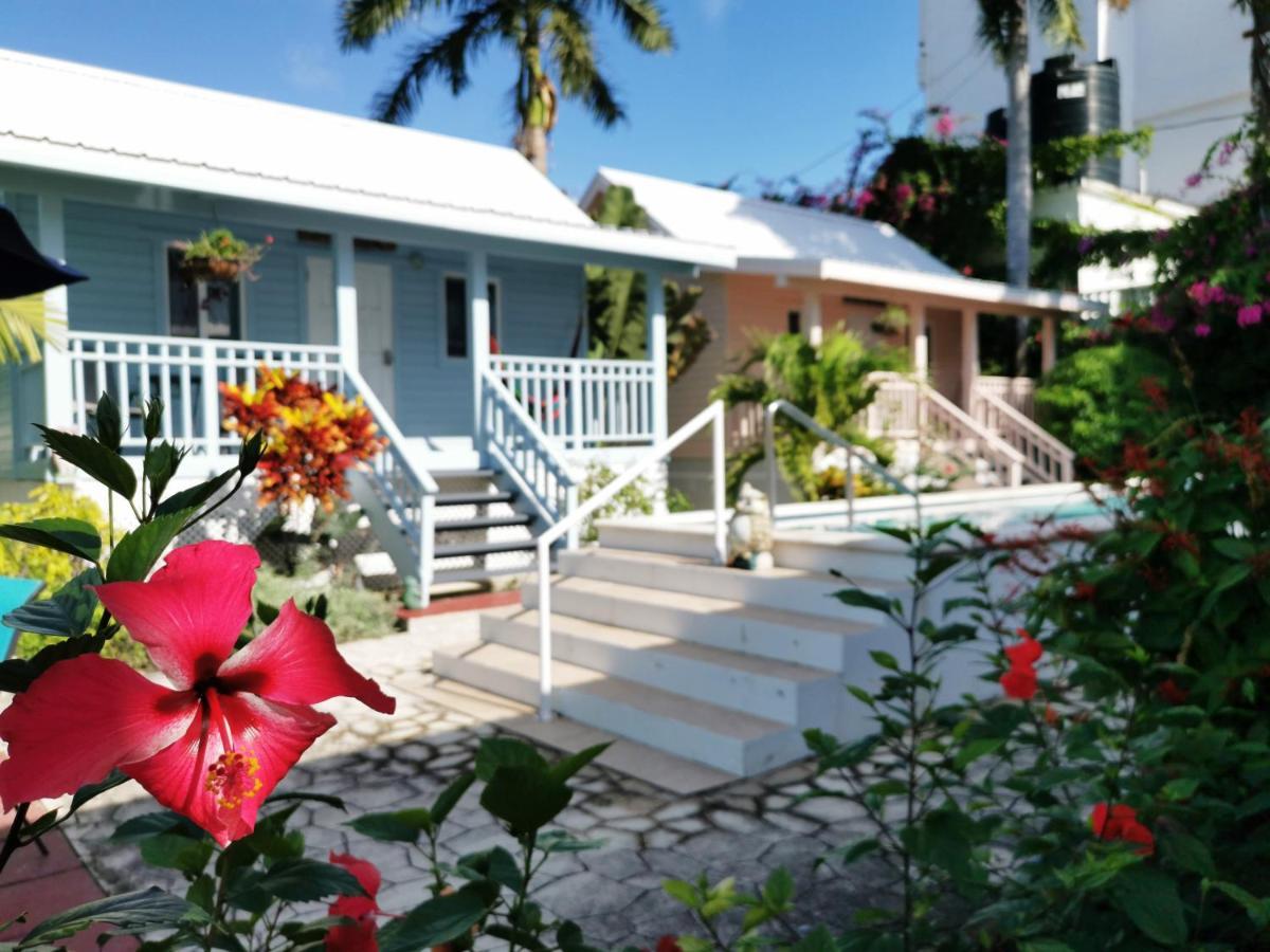 Harbour View Boutique Hotel & Yoga Retreat Belize City Eksteriør bilde