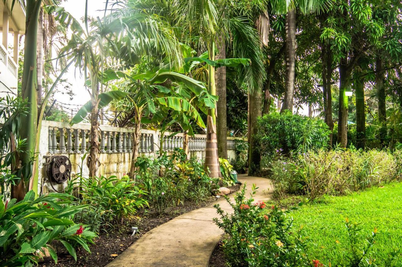 Harbour View Boutique Hotel & Yoga Retreat Belize City Eksteriør bilde
