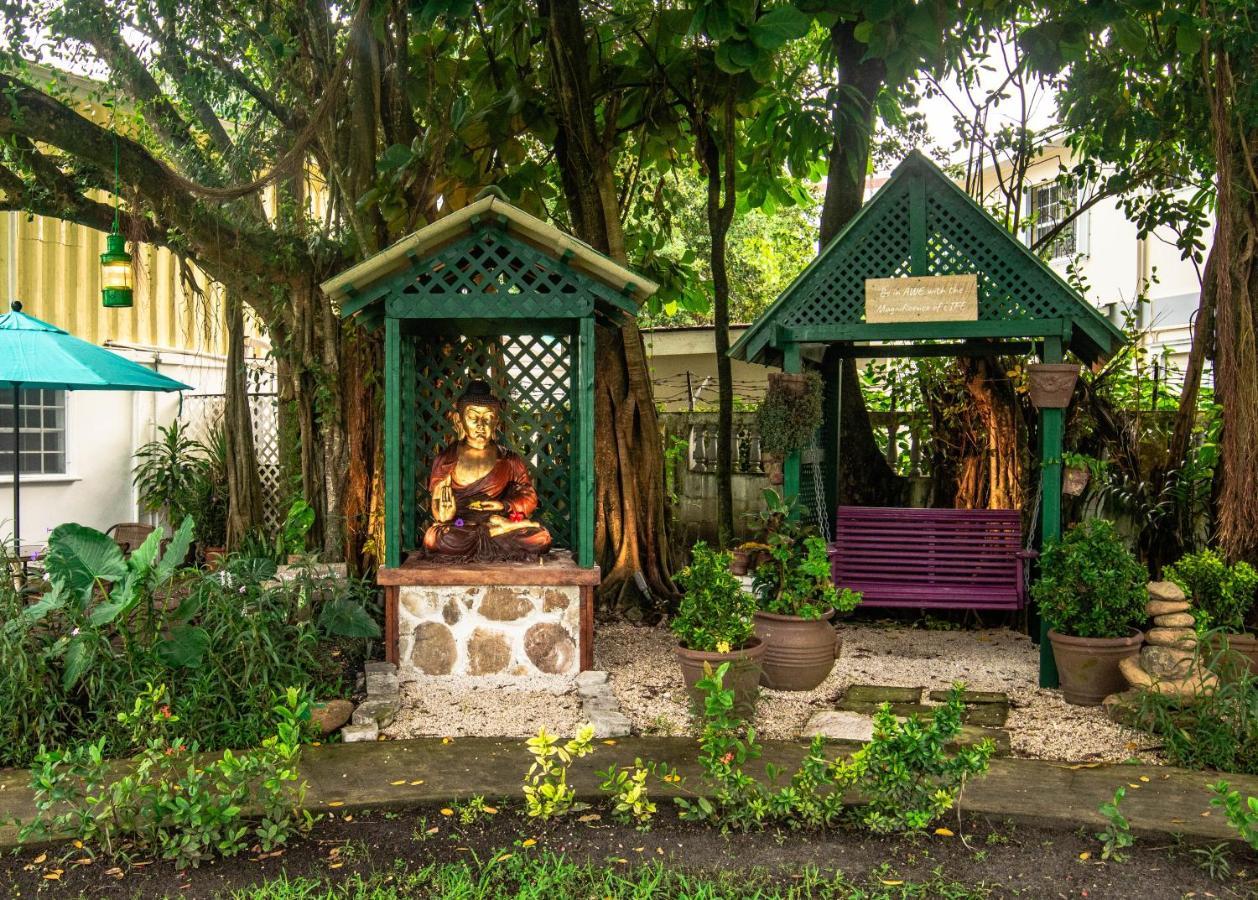 Harbour View Boutique Hotel & Yoga Retreat Belize City Eksteriør bilde