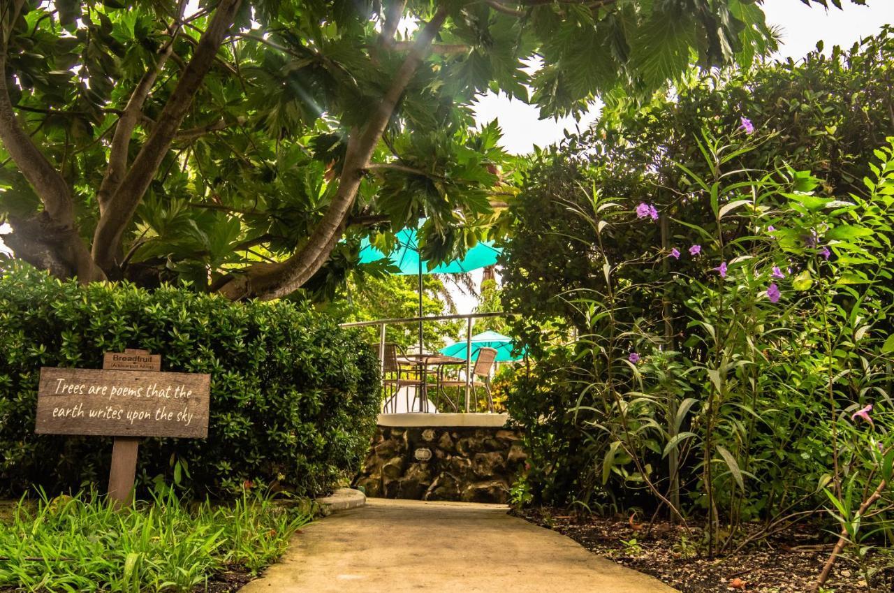 Harbour View Boutique Hotel & Yoga Retreat Belize City Eksteriør bilde